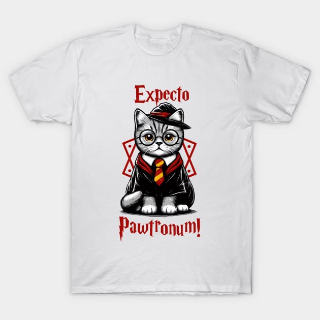 Hairy Pawter | Cat | Hero | Protagonist | Witch | Magic | Spells T-Shirt by Ikibrai